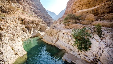 WADI .